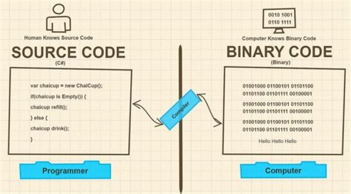 What is difference between binary and source file? [duplicate]