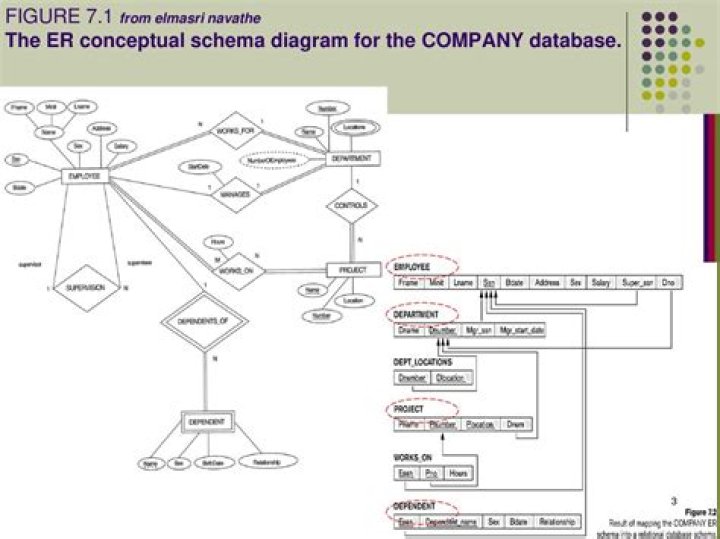 What is different between ER Diagram and Database Schema?