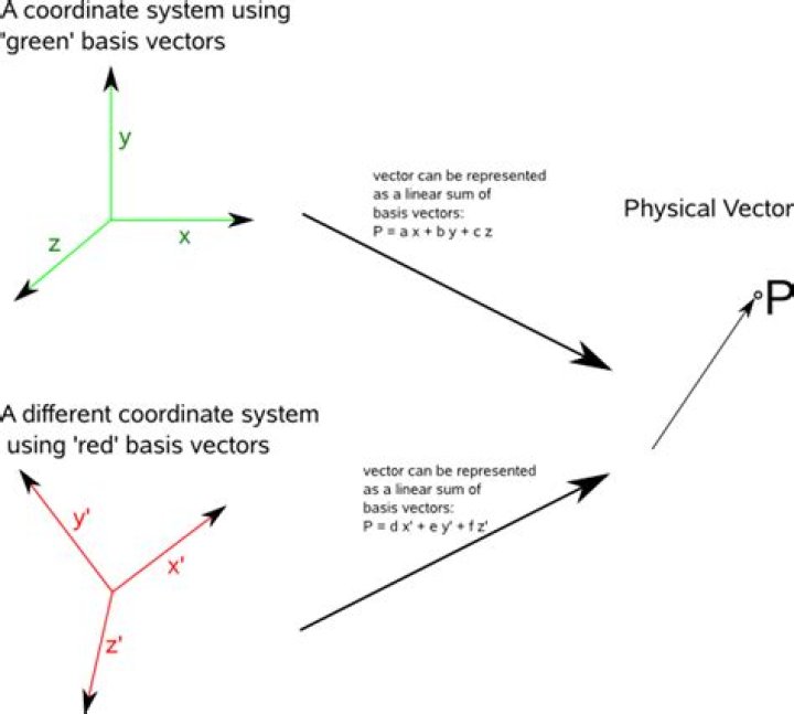 What is dual vector and covector?