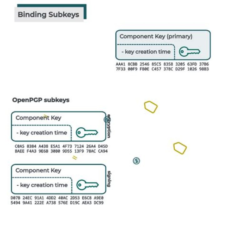 What is --export-secret-subkeys used for?