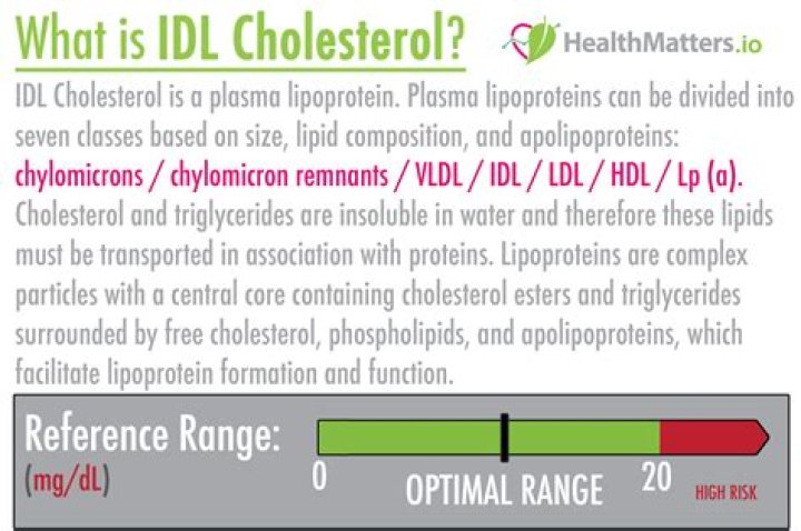 What is IDL?