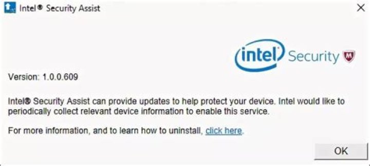 What is Intel Security Assist?