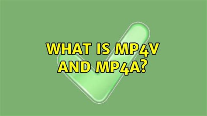 What is mp4v and mp4a?