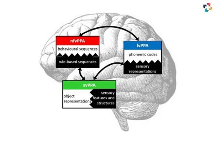 What is PPA and why do people use it for Nvidia graphics?