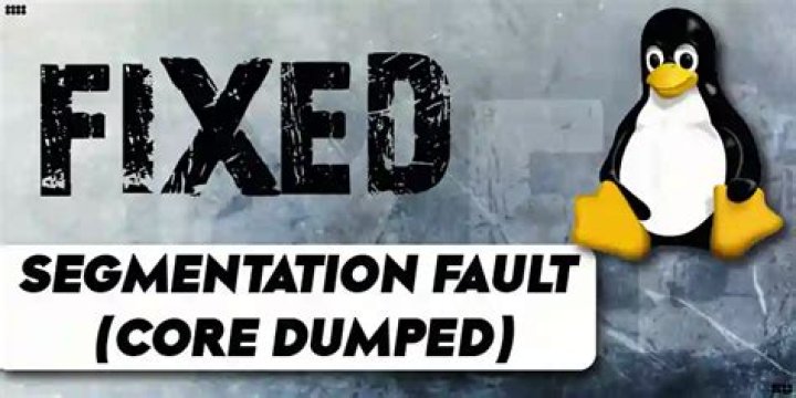what is Segmentation fault (core dumped)? [duplicate]