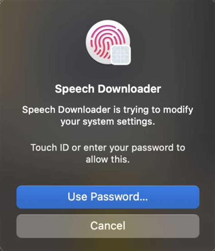 What is Speech Downloader?