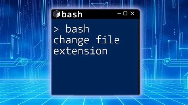 What is the Bash file extension?