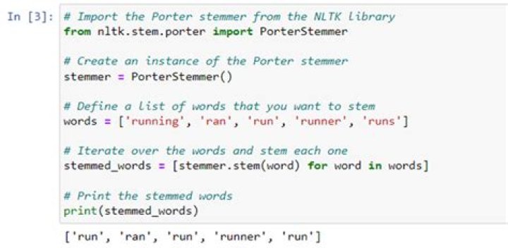 What is the best stemming method in Python?