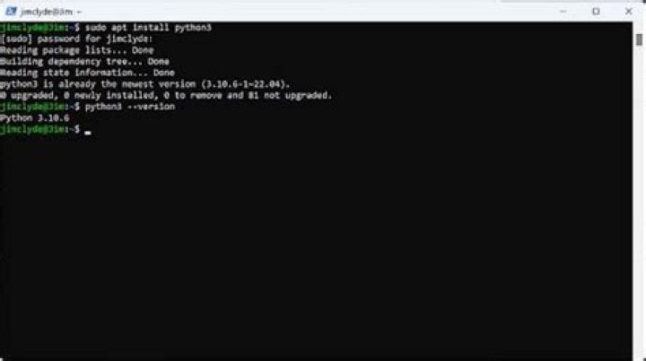 What is the command to install `python-pil` and `x11-apps` [duplicate]
