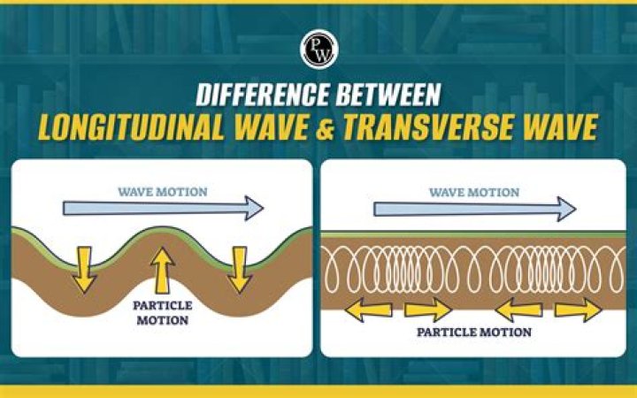 What is the difference between a cycle and a simple cycle?