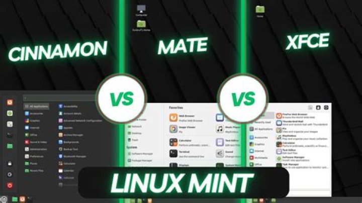 What is the difference between Cinnamon and Cinnamon (Software rendering) when choosing a desktop enviornment before logging in?