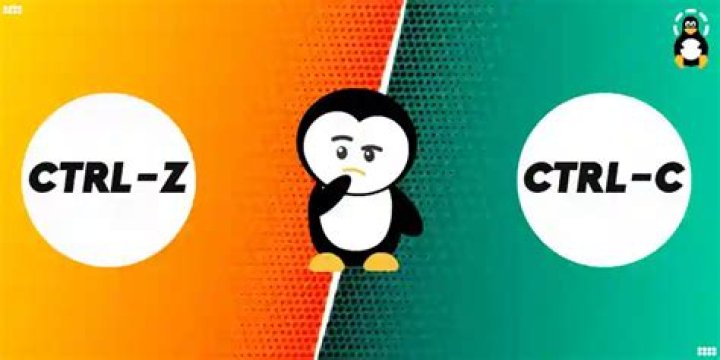 What is the difference between Ctrl-z and Ctrl-c in the terminal?