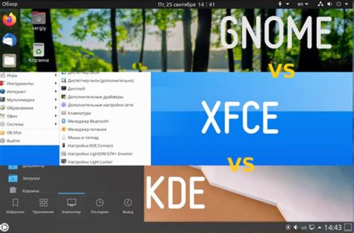 What is the difference between GNOME, KDE, Xfce and LXDE?