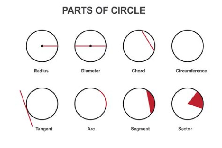 What is the direction along the edge of a circle called (in English and by chance German)?
