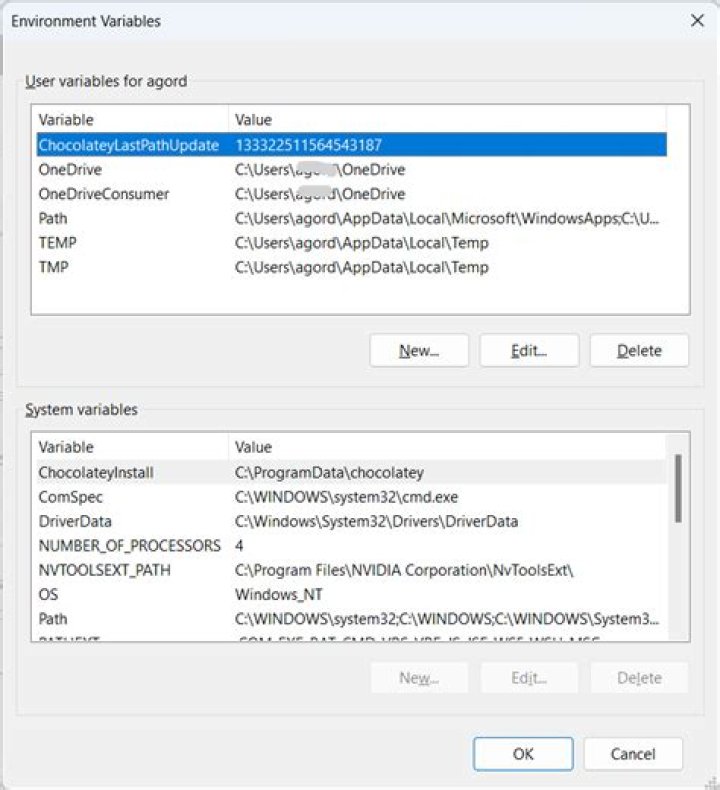 What is the $DISPLAY environment variable?