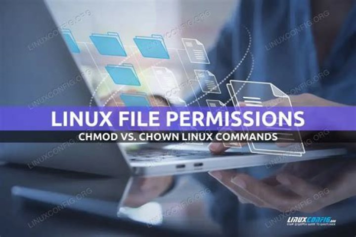 What is the main difference between chmod and chown?