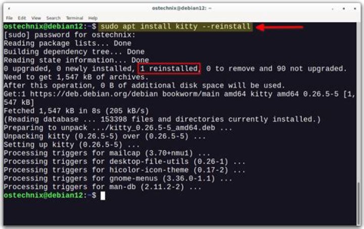 What is the meaning of apt-get install --reinstall?