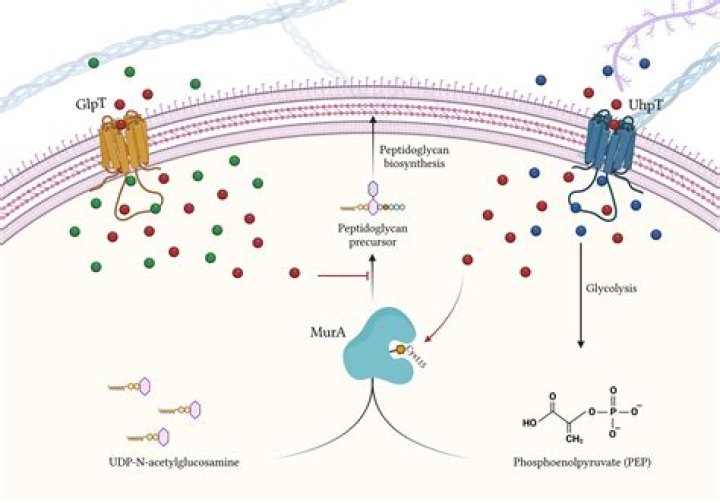 What is the mechanism of f-test?