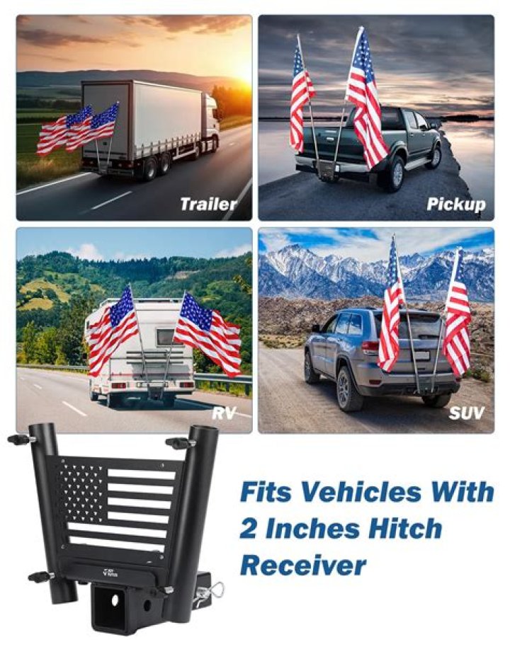 What is the noauto mount flag for?
