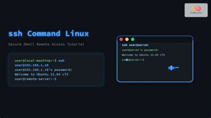 What is the password for ``ssh root@localhost``?