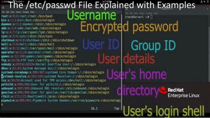 What is the purpose of /etc/default?