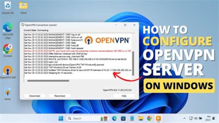 What is the purpose of OpenVPN's /etc/openvpn/{client,server} directories?
