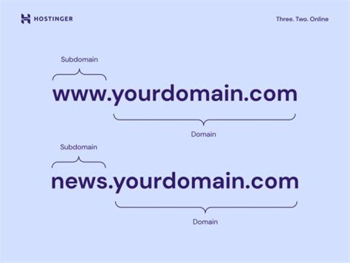 What is the purpose of the WWW subdomain?