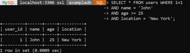 What is the purpose of using WHERE 1=1 in SQL statements? [duplicate]