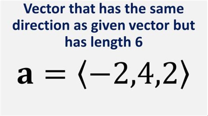 What is the term for vector in same direction but with different length