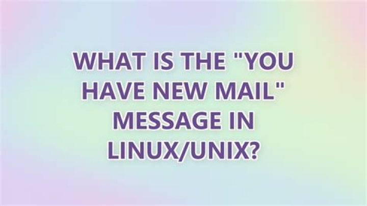 What is the 