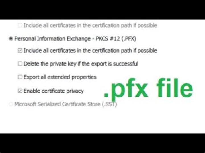 What is wrong with this pkcs12 file (pfx)