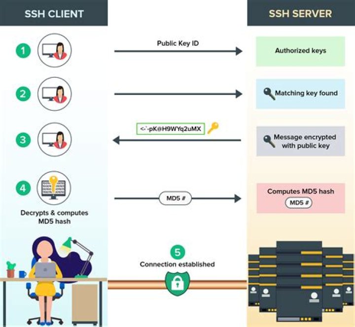 Where are my SSH keys used for authentication being stored on Mac OS X if not in .ssh?