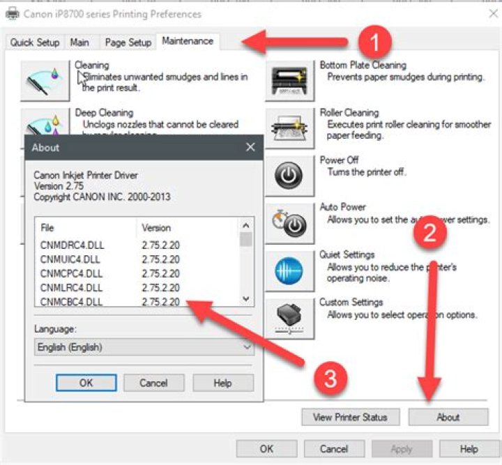 Where can I see the printer driver version on Windows?