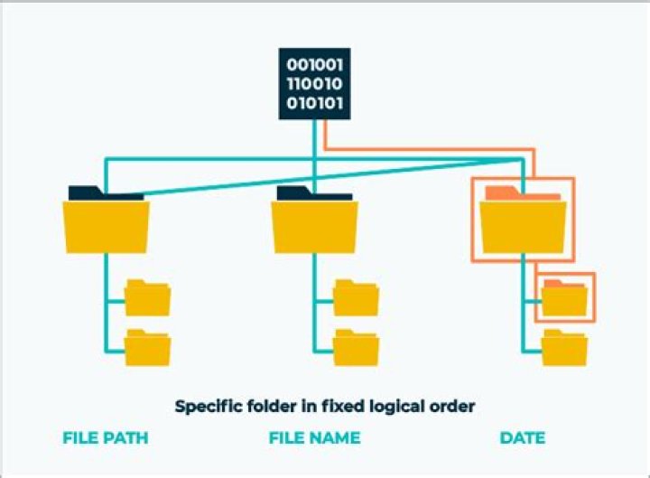 Where in the filesystem should I store shared data?