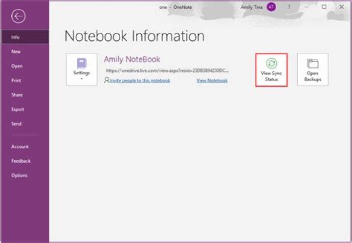 Where is a Non-Syncing Windows 10 OneNote Notebook Saved?