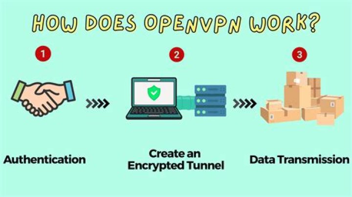 Where is OpenVPN's sacli?