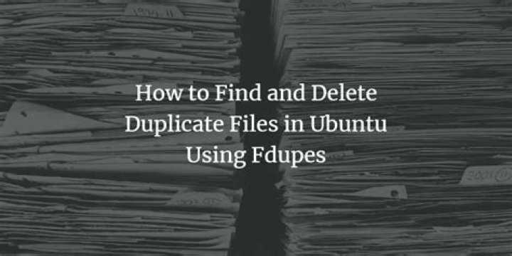 Where to find my d drive files in Ubuntu? [duplicate]