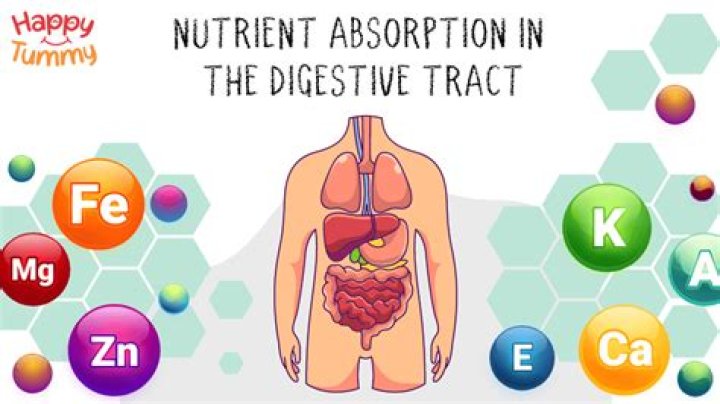 Where to find Organic Nutrients for +3 Kindness
