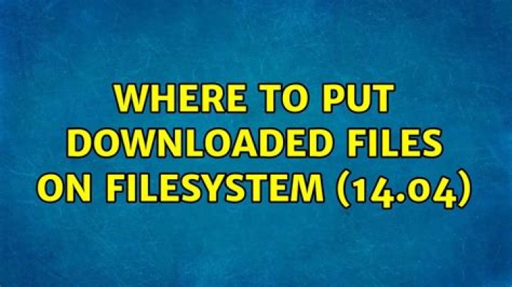 Where to put downloaded files on filesystem (14.04)