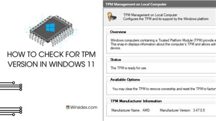Which TPM version?