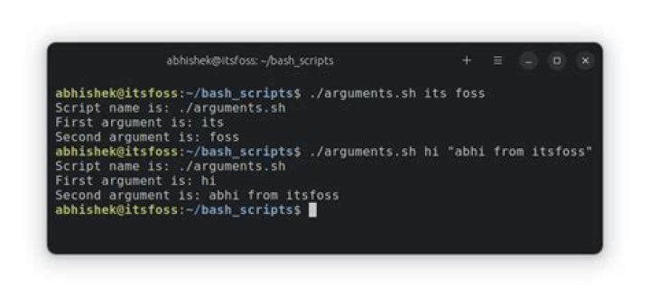 Why are my bash script's arguments causing an error?