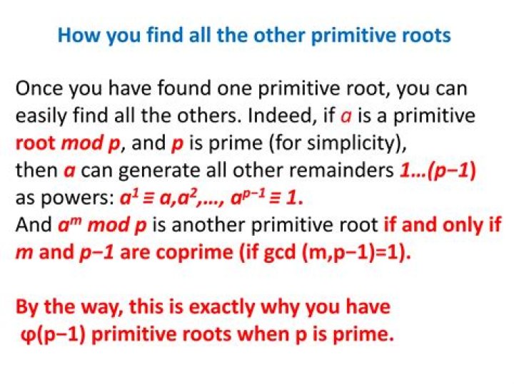 Why are primitive roots called generators?