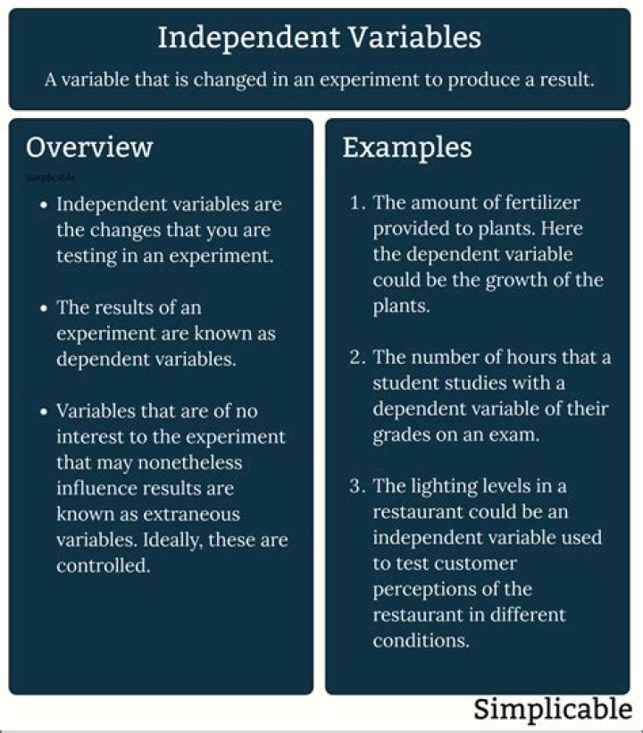 Why aren't there distinct terms for a variable and an unknown quantity in literature?