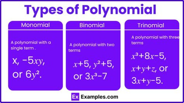Why can't polynomials have negative exponents or division by a variable