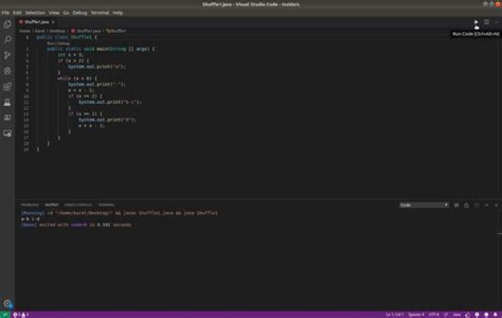 Why do I get a redundant % (percent sign) when I run Java code in VSCode?