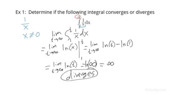 Why does $1/x$ diverge?