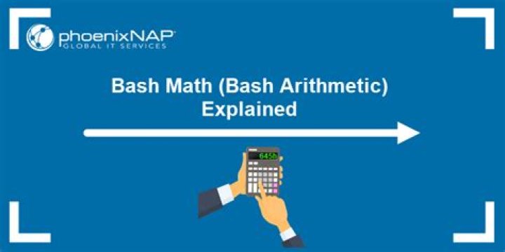 Why does division in bash arithmetic compute most percentages as 0?