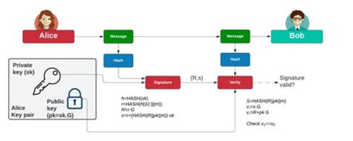 Why does GitHub recommend ed25519 SSH key encryption scheme, but itself uses ECDSA?