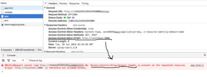 Why does my JavaScript code receive a 
