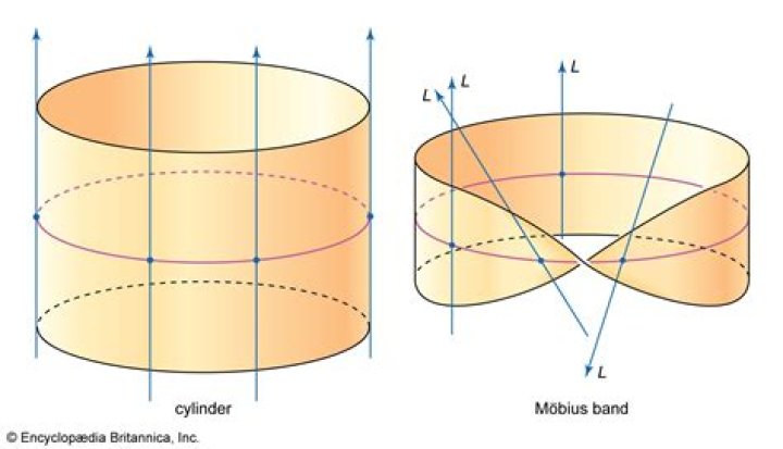 Why does the inverse of a mobius transform not get divided by the determinant?